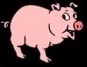 cartoon pig