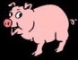 cartoon pig